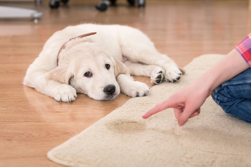 deep cleaning cleaning services