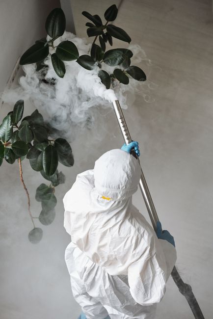 A cleaning professional from 0800carpetcleaner.co.uk is performing surface cleaning and sanitisation in a living room. They are wearing a white protective suit, mask, gloves, and shoe covers, and usin