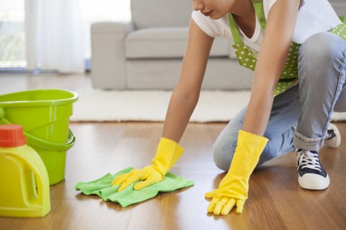 Professional carpet cleaning process by 0800 Carpet Cleaner